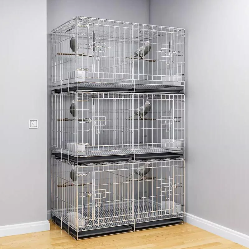 Pigeon Cage