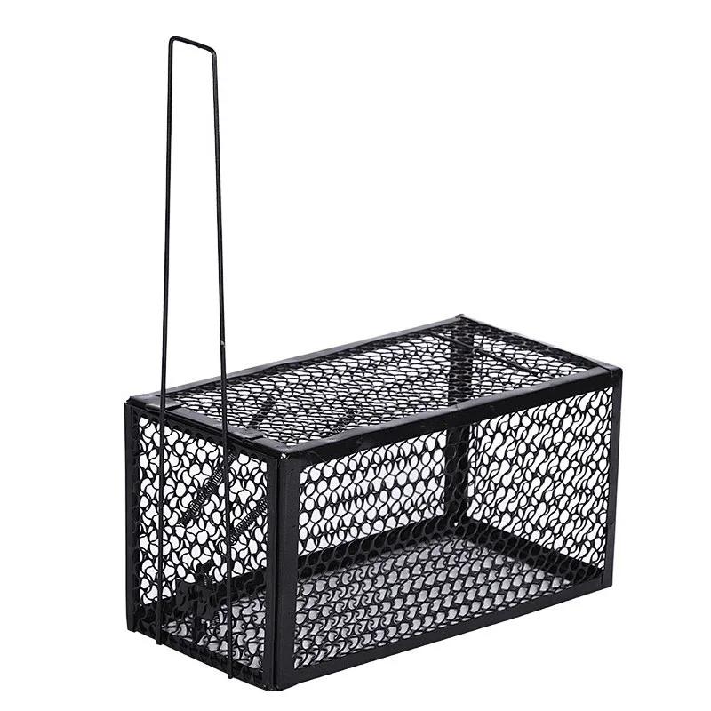 Mouse Cage